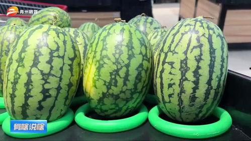 娱乐吃瓜酱潍坊,揭秘潍坊娱乐圈那些事儿