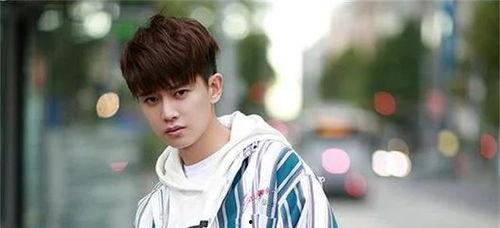 娱乐吃瓜蜀黍任嘉伦,娱乐吃瓜蜀黍的星光璀璨之路