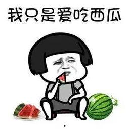 娱乐吃瓜全部,揭秘明星幕后故事，吃瓜群众狂欢盛宴