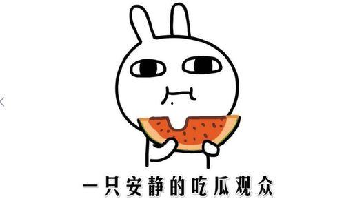 座等吃瓜是什么意思